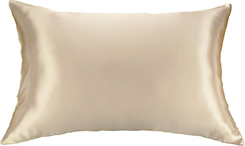 100% Silk Pillowcase for Hair Zippered Luxury 25 Momme Mulberry Silk Charmeuse Silk on Both Sides of Pillow Cover -Gift Wrapped- (Queen, Taupe)